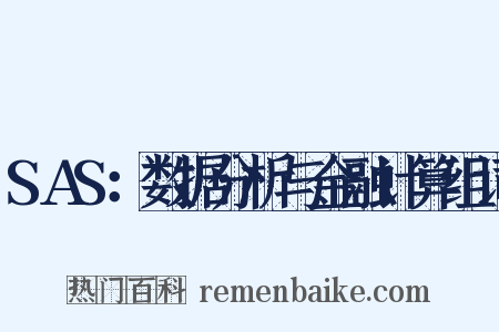 SAS：数据分析与金融计算组词是什么意思的图片